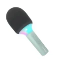 pol_pl_Kidywolf-KIDYMIC-GR-mikrofon-karaoke-zielony-41473_5[1].webp