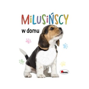 Milusińscy W Domu, AWM